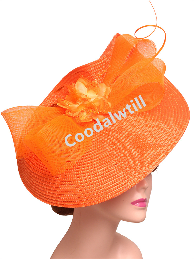 Elegant Tea Party Fascinator P - Women'S Fashion Kentucky Derby 评论和价格