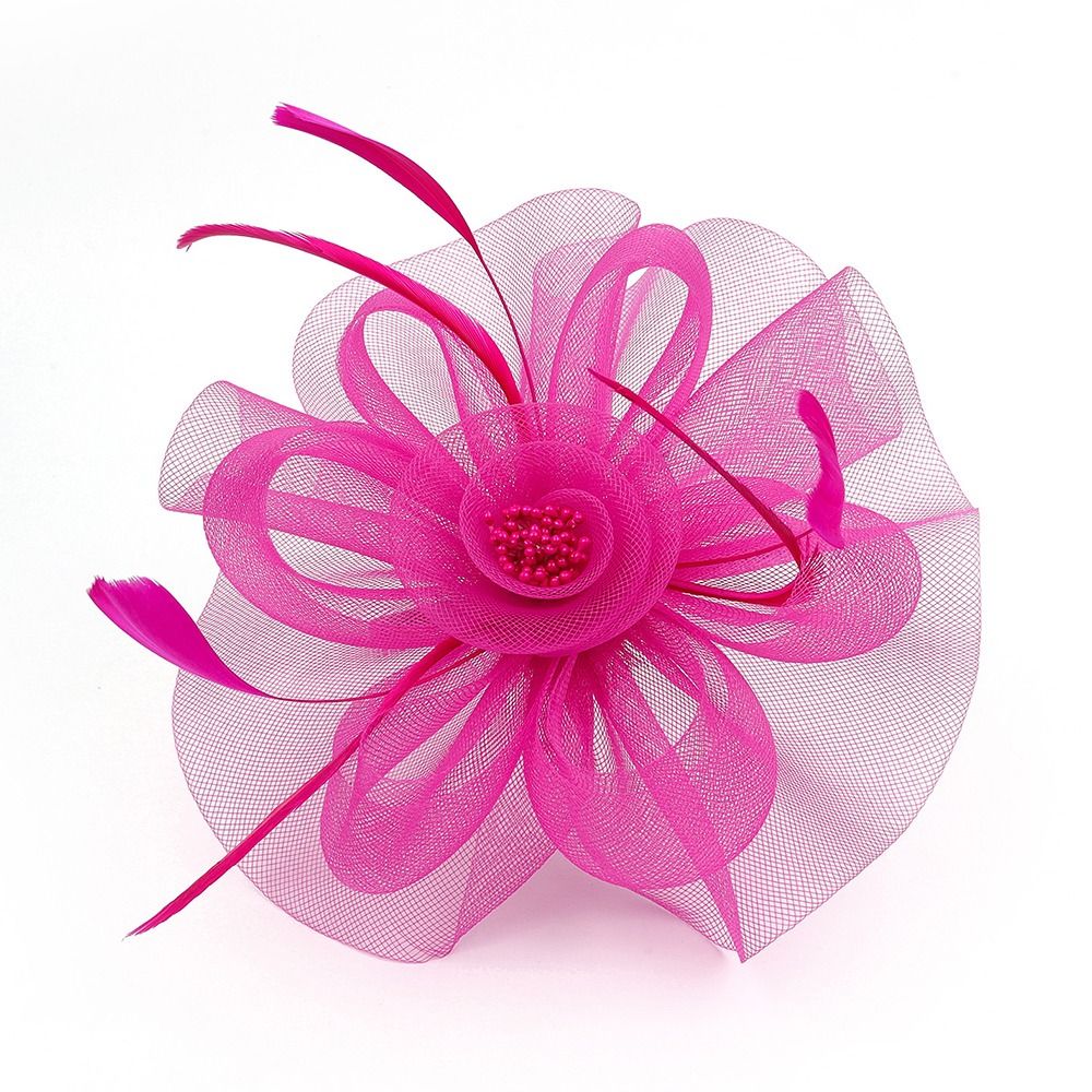 Feathers Ribbon Fascinator Hat - Women'S Fashion Kentucky Derby 评论和价格