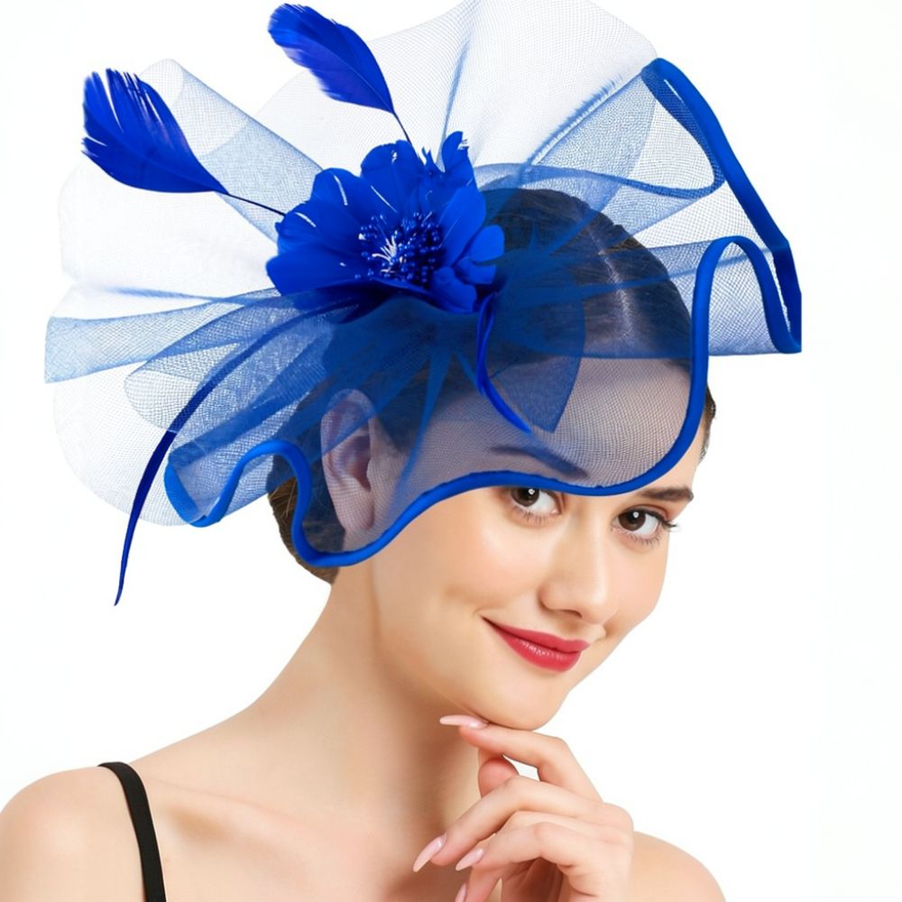Fashion Mesh Feather Hair Acce - Women'S Fashion Kentucky Derby 评论和价格